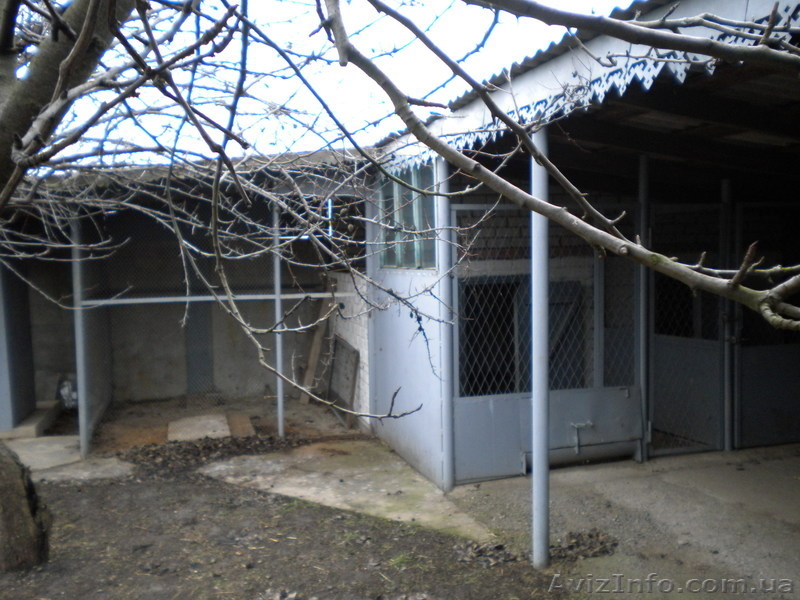 Продам дом в Белозерке - <ro>Изображение</ro><ru>Изображение</ru> #6, <ru>Объявление</ru> #499145