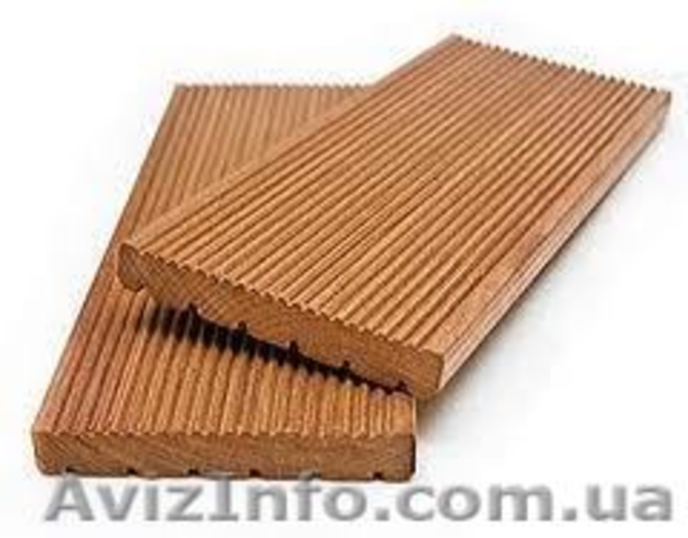 Лиственница сибирская Херсон Украина - <ro>Изображение</ro><ru>Изображение</ru> #4, <ru>Объявление</ru> #153197