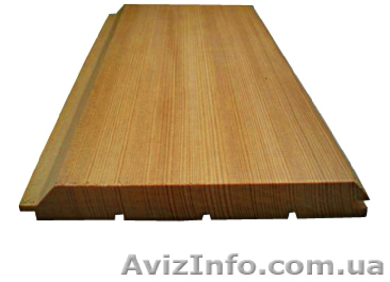 Лиственница сибирская Херсон Украина - <ro>Изображение</ro><ru>Изображение</ru> #5, <ru>Объявление</ru> #153197