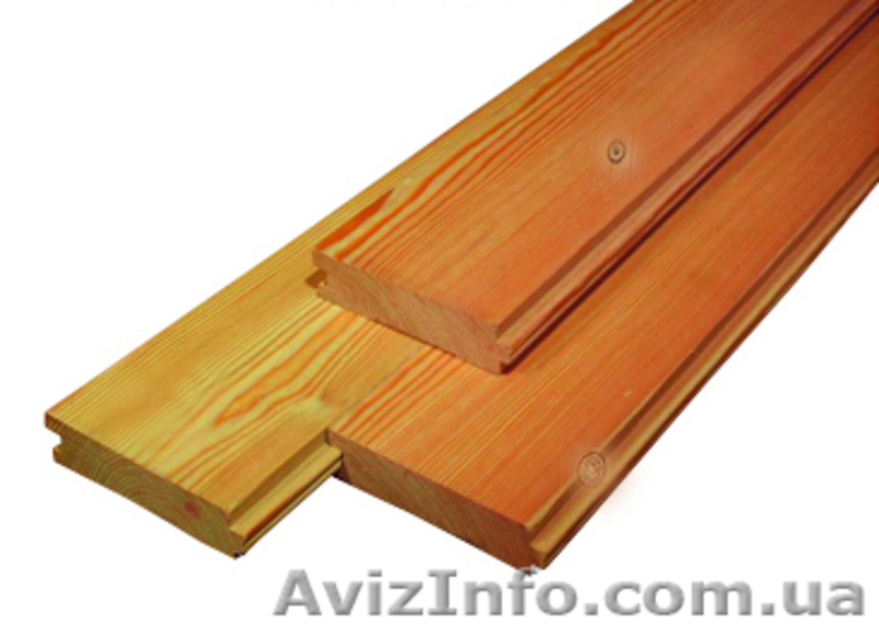 Лиственница сибирская Херсон Украина - <ro>Изображение</ro><ru>Изображение</ru> #6, <ru>Объявление</ru> #153197