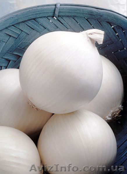 Профессиональные семена овощей всех компаний - <ro>Изображение</ro><ru>Изображение</ru> #4, <ru>Объявление</ru> #746361