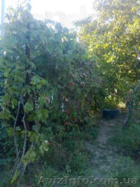 Гельман Лидия Захаровна, valentina.gelman.75@gmail.com - <ro>Изображение</ro><ru>Изображение</ru> #3, <ru>Объявление</ru> #865070