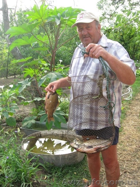 Продам дачу на левом берегу - <ro>Изображение</ro><ru>Изображение</ru> #4, <ru>Объявление</ru> #925412