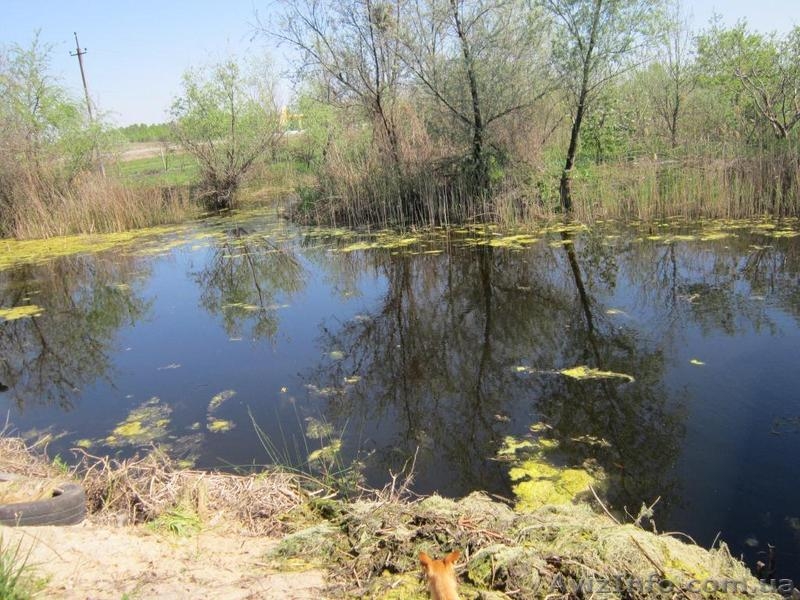 Продам благоустроенную дачу 100 кв.м. - <ro>Изображение</ro><ru>Изображение</ru> #5, <ru>Объявление</ru> #924040