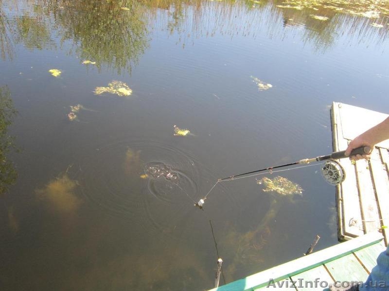 Продам благоустроенную дачу 100 кв.м. - <ro>Изображение</ro><ru>Изображение</ru> #3, <ru>Объявление</ru> #924040