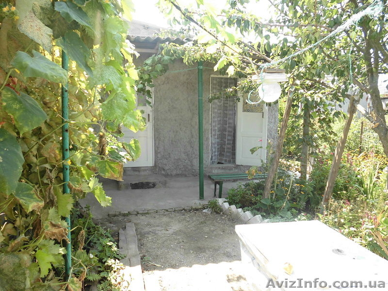 Отдых у моря в Скадовске - <ro>Изображение</ro><ru>Изображение</ru> #8, <ru>Объявление</ru> #945427