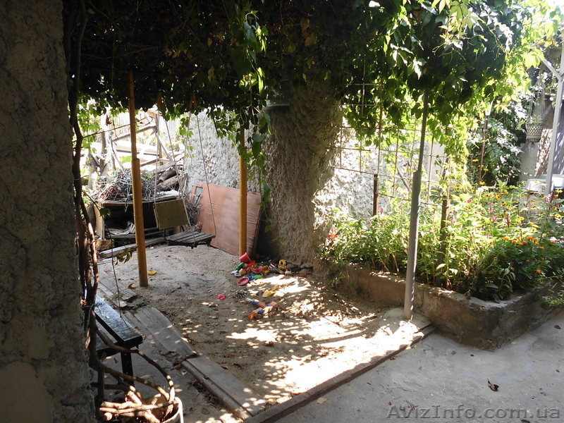 Отдых у моря в Скадовске - <ro>Изображение</ro><ru>Изображение</ru> #4, <ru>Объявление</ru> #945427