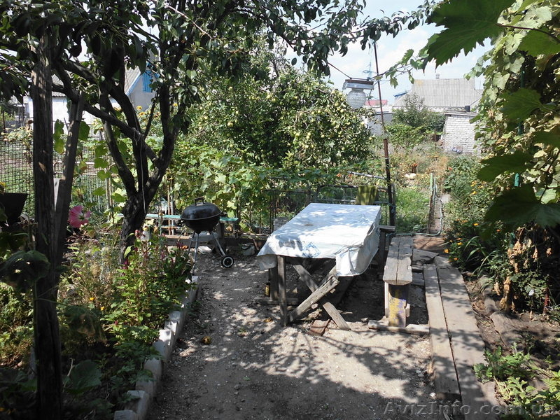 Отдых у моря в Скадовске - <ro>Изображение</ro><ru>Изображение</ru> #3, <ru>Объявление</ru> #945427