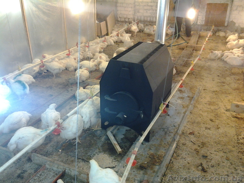 Дровяная печь калорифер Чудо от производителя - <ro>Изображение</ro><ru>Изображение</ru> #4, <ru>Объявление</ru> #995152