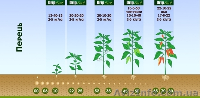 Универсальное удобрение DripFert 20-20-20+микроэлементы - <ro>Изображение</ro><ru>Изображение</ru> #3, <ru>Объявление</ru> #1081893
