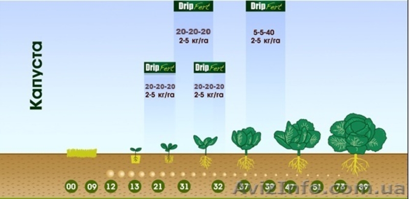 Универсальное удобрение DripFert 20-20-20+микроэлементы - <ro>Изображение</ro><ru>Изображение</ru> #4, <ru>Объявление</ru> #1081893
