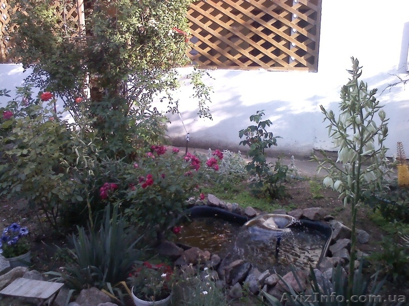 Азов. Генгорка. Спокойный отдых для семей. - <ro>Изображение</ro><ru>Изображение</ru> #6, <ru>Объявление</ru> #1121092