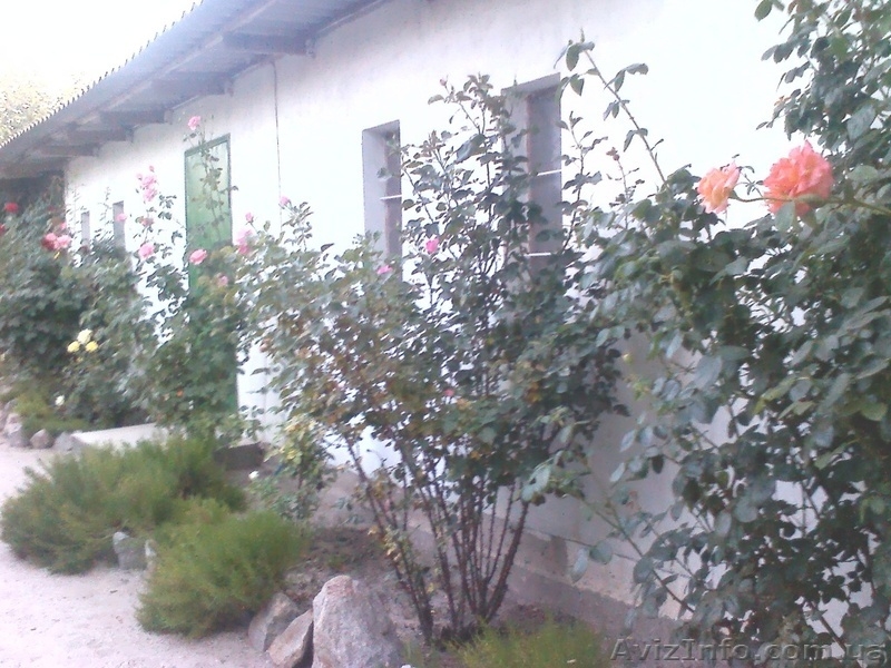 Азов. Генгорка. Спокойный отдых для семей. - <ro>Изображение</ro><ru>Изображение</ru> #4, <ru>Объявление</ru> #1121092