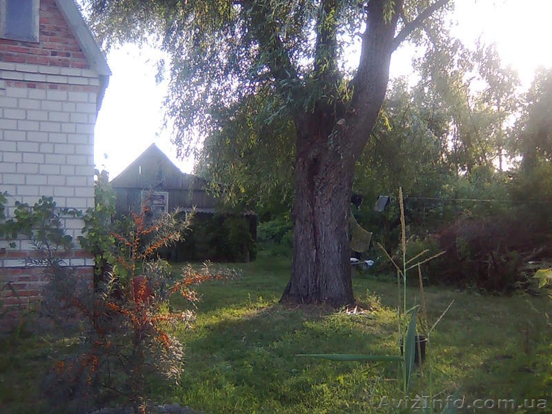 Сдам Хутор отель для отдыха и рыбалки.  - <ro>Изображение</ro><ru>Изображение</ru> #10, <ru>Объявление</ru> #1175403