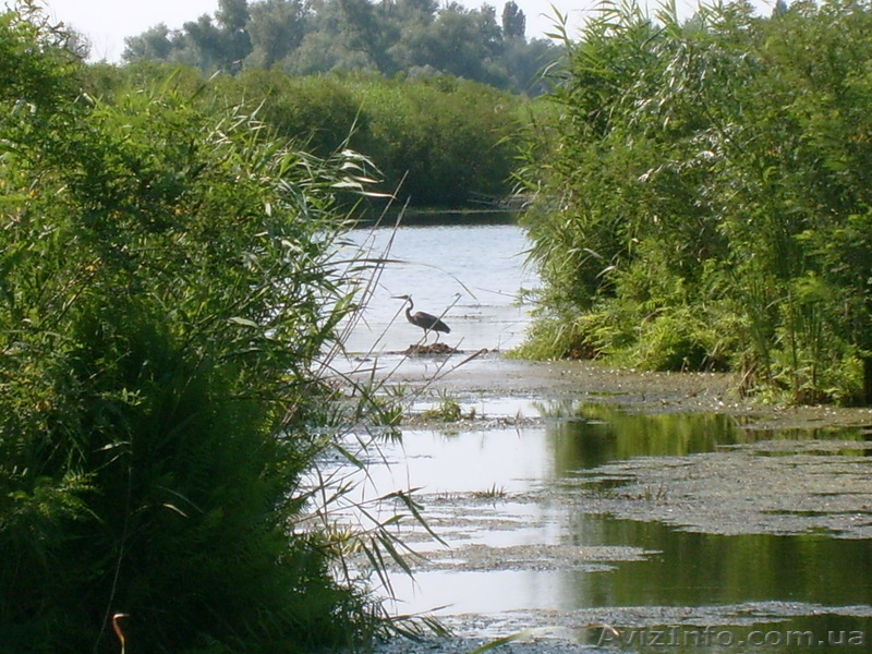 Сдам Хутор отель для отдыха и рыбалки.  - <ro>Изображение</ro><ru>Изображение</ru> #7, <ru>Объявление</ru> #1175403