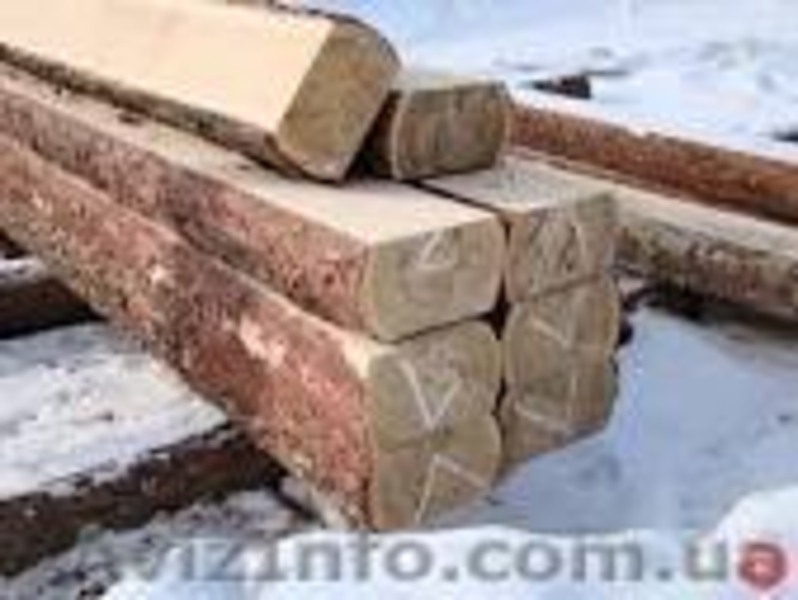 Потребность предприятия лпаха (двухкантный брус), кругляк тонкомер - <ro>Изображение</ro><ru>Изображение</ru> #4, <ru>Объявление</ru> #1211913