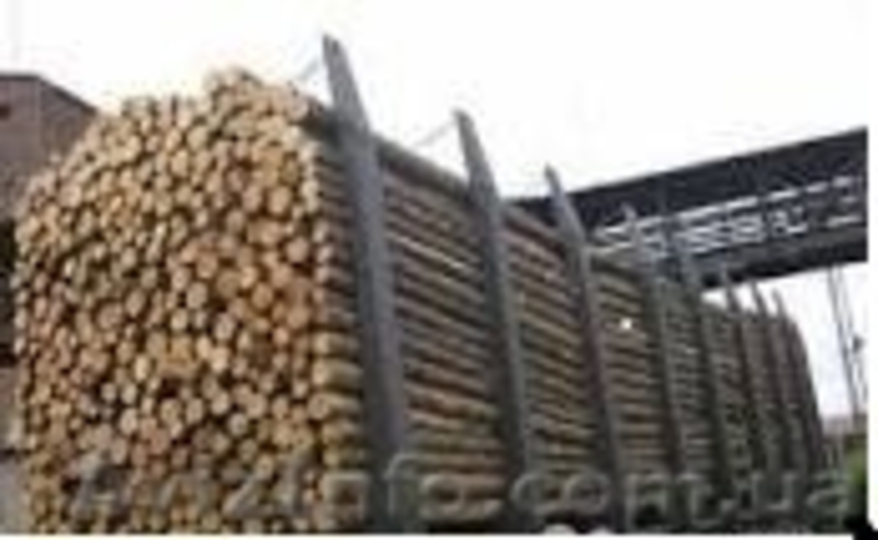 Потребность предприятия лпаха (двухкантный брус), кругляк тонкомер - <ro>Изображение</ro><ru>Изображение</ru> #5, <ru>Объявление</ru> #1211913