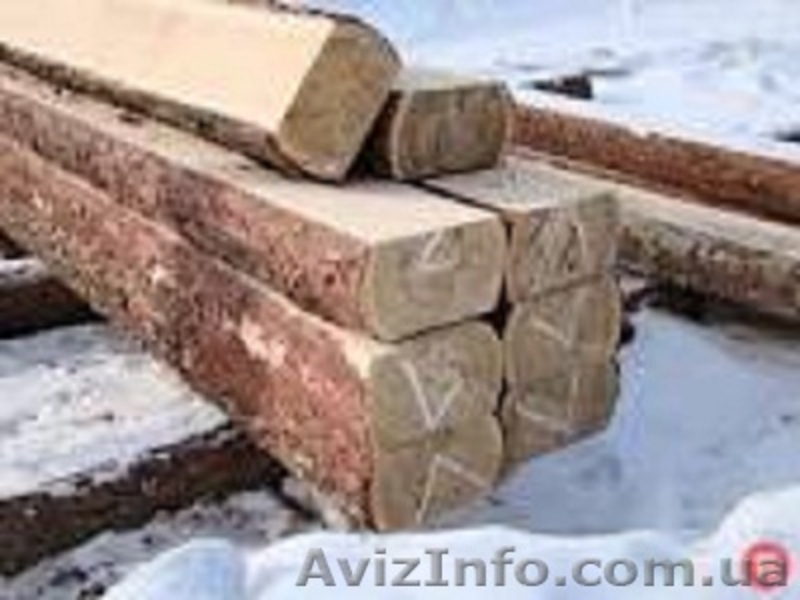 Покупаем автомобильными нормами - плаху (двухкантный брус), кругляк тонкомер  - <ro>Изображение</ro><ru>Изображение</ru> #4, <ru>Объявление</ru> #1224637