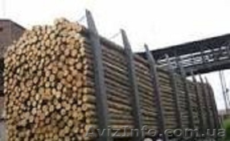 Покупаем автомобильными нормами - плаху (двухкантный брус), кругляк тонкомер  - <ro>Изображение</ro><ru>Изображение</ru> #5, <ru>Объявление</ru> #1224637