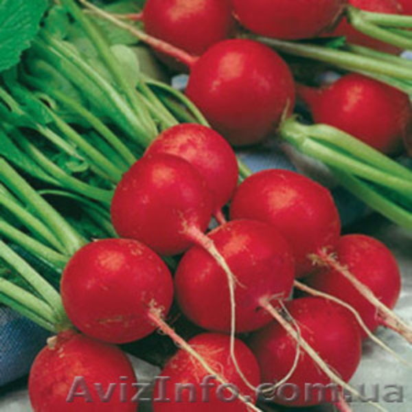 Интернет магазин Агросемена - <ro>Изображение</ro><ru>Изображение</ru> #4, <ru>Объявление</ru> #1226016