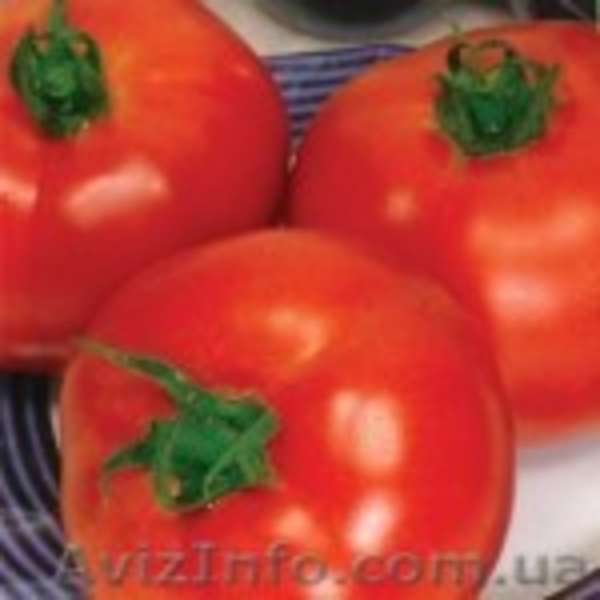 Интернет магазин Агросемена - <ro>Изображение</ro><ru>Изображение</ru> #5, <ru>Объявление</ru> #1226016