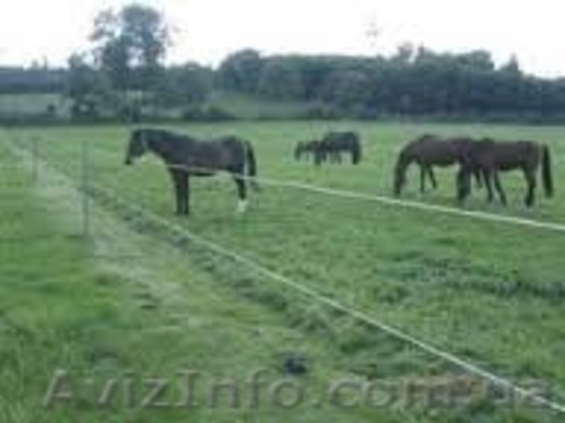 Выполняем монтаж Электропастухов - <ro>Изображение</ro><ru>Изображение</ru> #4, <ru>Объявление</ru> #1252173