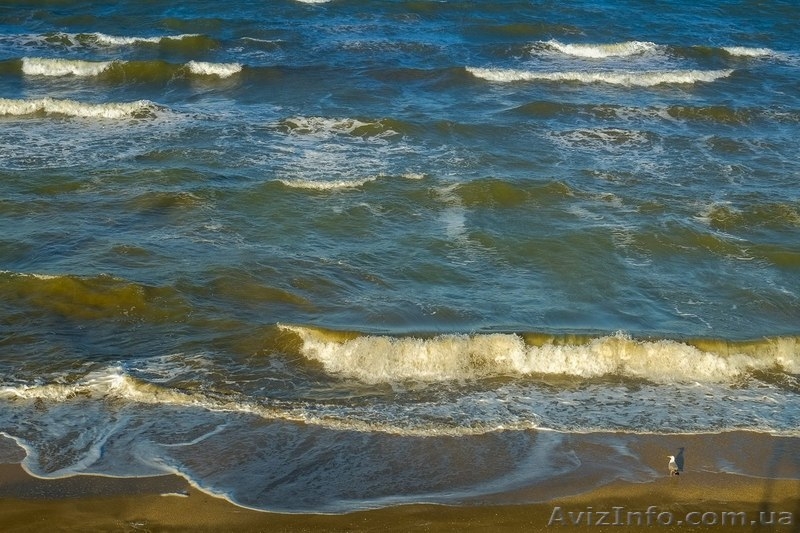 Продам 2 участка Херсонская область, село Счастливцево, Арабатская стрелка - <ro>Изображение</ro><ru>Изображение</ru> #5, <ru>Объявление</ru> #1301884