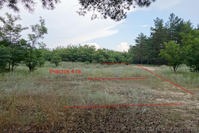 Срочно! Продам или обменяю участок 2+2  в лесу возле лимана - <ro>Изображение</ro><ru>Изображение</ru> #3, <ru>Объявление</ru> #1309526