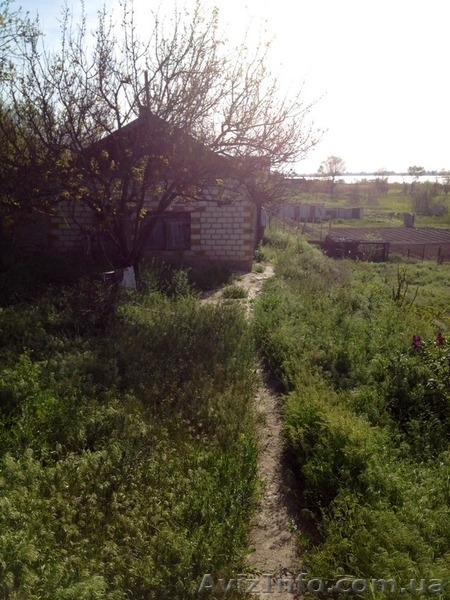 Дом под снос на берегу с собственным выходом к реке и участком 12 соток - <ro>Изображение</ro><ru>Изображение</ru> #4, <ru>Объявление</ru> #1377976