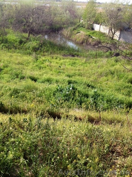 Дом под снос на берегу с собственным выходом к реке и участком 12 соток - <ro>Изображение</ro><ru>Изображение</ru> #5, <ru>Объявление</ru> #1377976