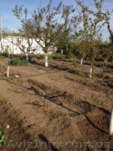 Дом в Кизомысе (Кизомыс на реке) Херсонской области с газовым и печным отопление - <ro>Изображение</ro><ru>Изображение</ru> #6, <ru>Объявление</ru> #1489973