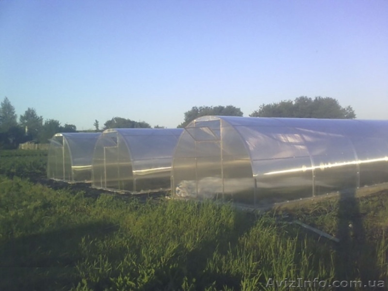 Теплицы с поликарбонатом под ключ. - <ro>Изображение</ro><ru>Изображение</ru> #4, <ru>Объявление</ru> #1510863
