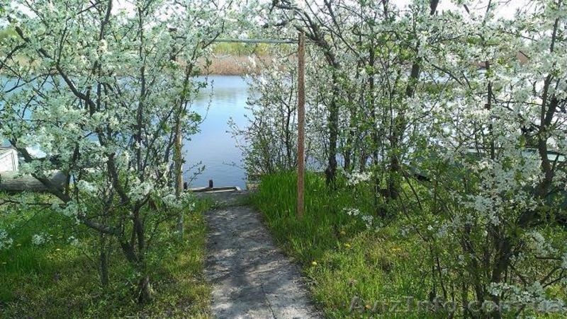 Продам дачу, г.Херсон, Чайка 1, спортивная конка. - <ro>Изображение</ro><ru>Изображение</ru> #3, <ru>Объявление</ru> #1519950