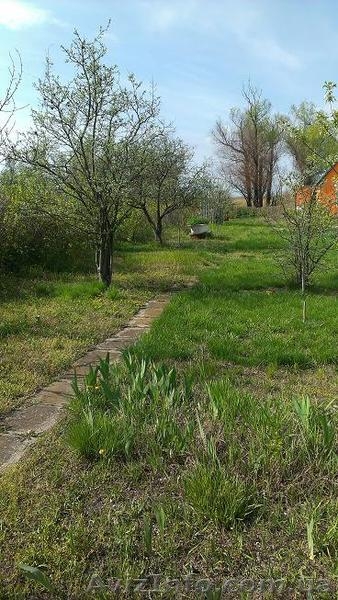 Продам дачу, г.Херсон, Чайка 1, спортивная конка. - <ro>Изображение</ro><ru>Изображение</ru> #4, <ru>Объявление</ru> #1519950