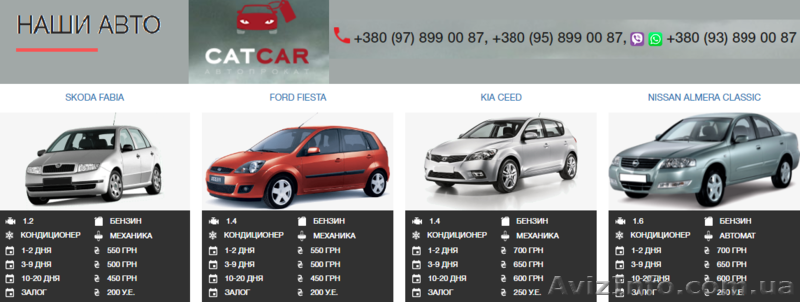 Автопрокат CATCAR. Работаем в Херсоне и Николаеве!  - <ro>Изображение</ro><ru>Изображение</ru> #3, <ru>Объявление</ru> #1537735