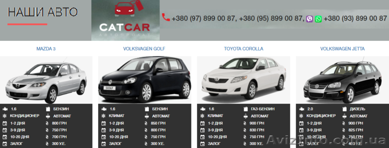 Автопрокат CATCAR. Работаем в Херсоне и Николаеве!  - <ro>Изображение</ro><ru>Изображение</ru> #4, <ru>Объявление</ru> #1537735