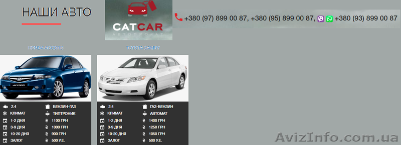 Автопрокат CATCAR. Работаем в Херсоне и Николаеве!  - <ro>Изображение</ro><ru>Изображение</ru> #5, <ru>Объявление</ru> #1537735