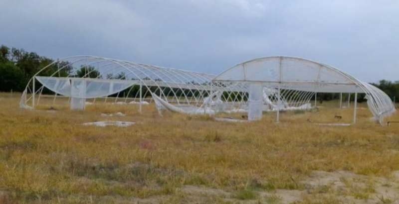 Каркасные металлические теплицы в Крынках - <ro>Изображение</ro><ru>Изображение</ru> #3, <ru>Объявление</ru> #1669627