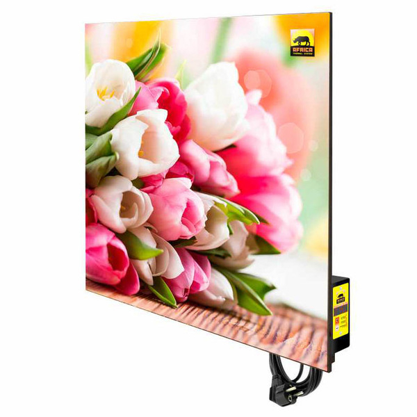 Настенные обогреватели, панели керамические, пленочные инфракрасные, - <ro>Изображение</ro><ru>Изображение</ru> #4, <ru>Объявление</ru> #1671909