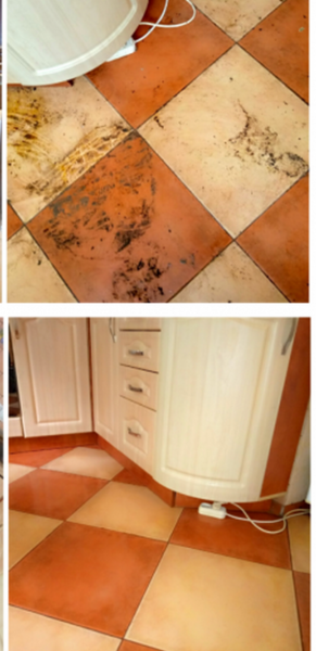 Компания "Чистый блеск" - <ro>Изображение</ro><ru>Изображение</ru> #7, <ru>Объявление</ru> #1695878