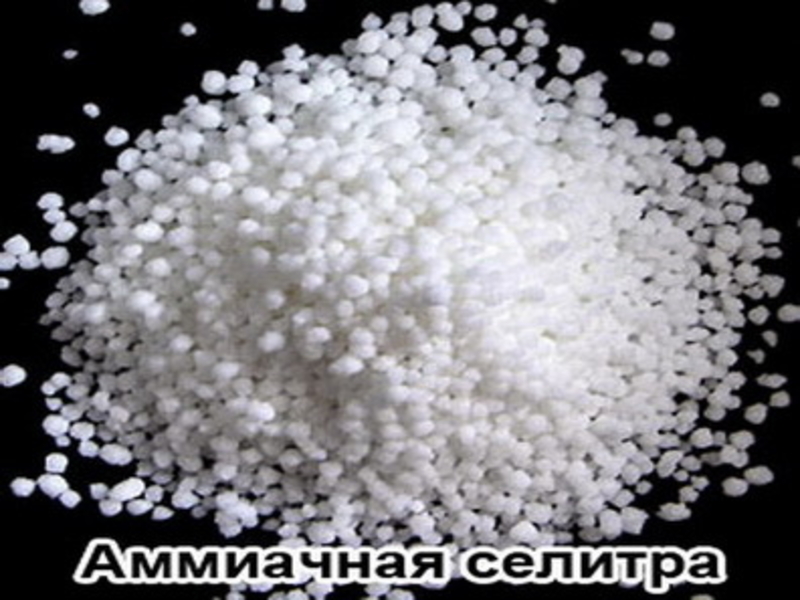 Аммиачная селитра N-34.4% (NH4NO3) Нитрат аммония ДнепроАзот - <ro>Изображение</ro><ru>Изображение</ru> #1, <ru>Объявление</ru> #1714738